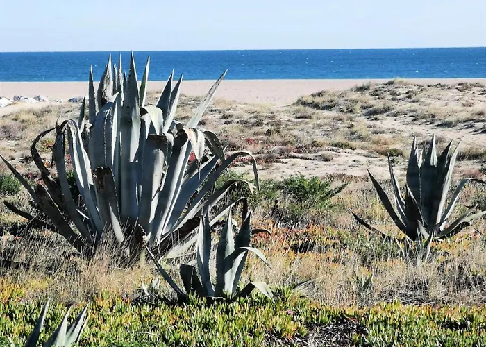 Maisons De La 2 - Confortable Pour Trois Personnes Face A La A Port Leucate. Ref: 1mm2_135 Mae-4724 لوسات